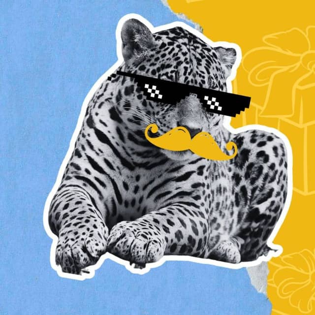 𝘼𝙢𝙞𝙜𝙤𝙨 𝙙𝙖 𝙊𝙣ç𝙖⚠️