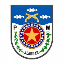 PM-AL MATERIAL FREE SD E CFO